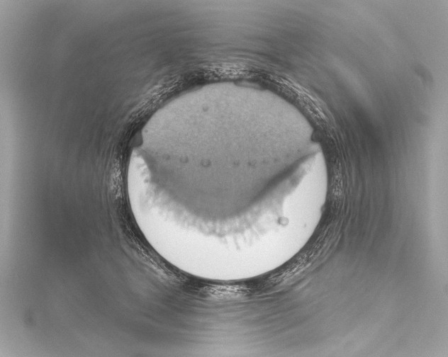 X0000115420465200912011330