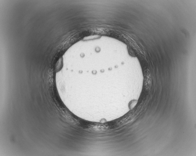 X0000115420466200912011330