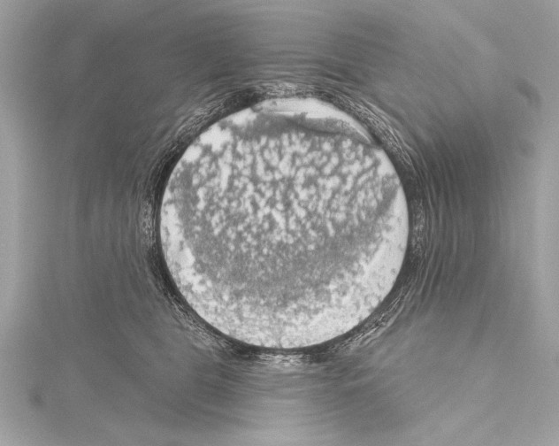 X0000115420469200912011330