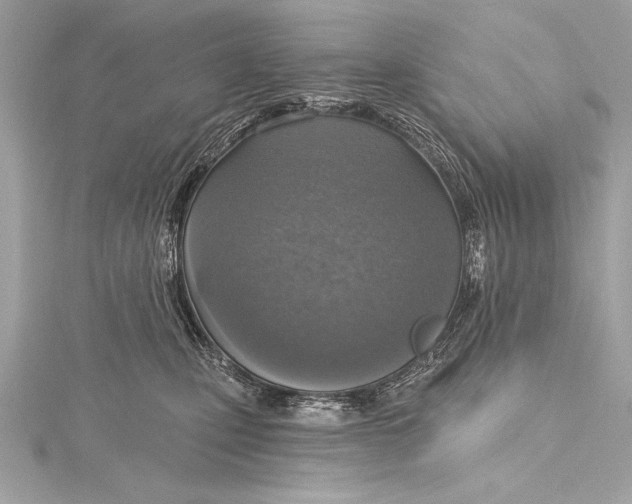 X0000115420471200912011330