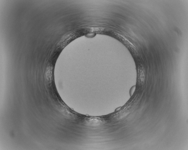 X0000115420475200912011330