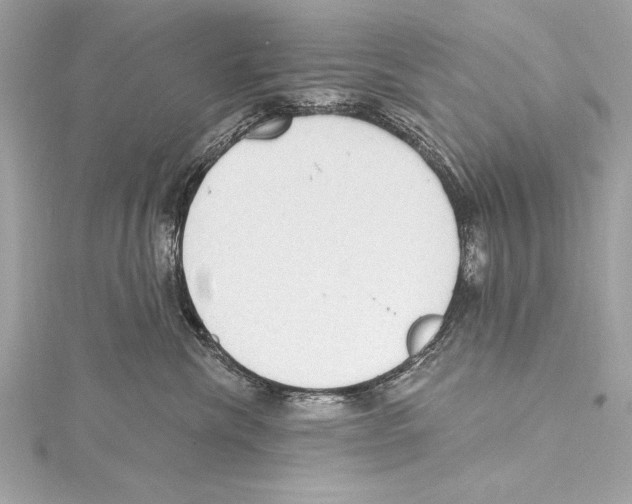 X0000115420476200912011330