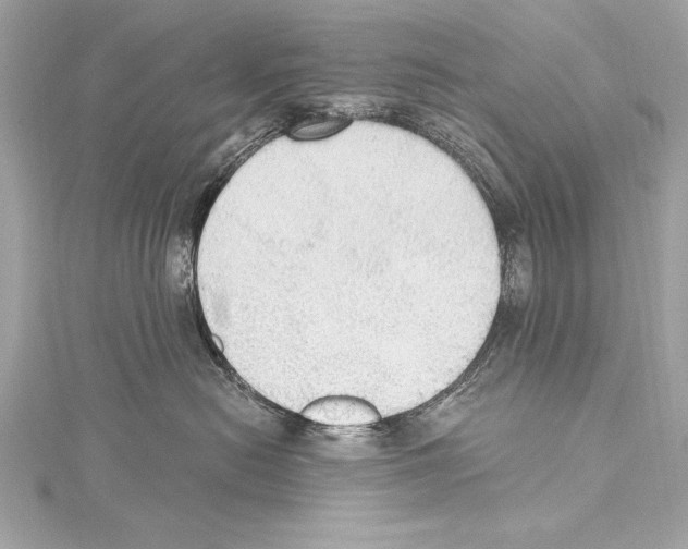 X0000115420478200912011330