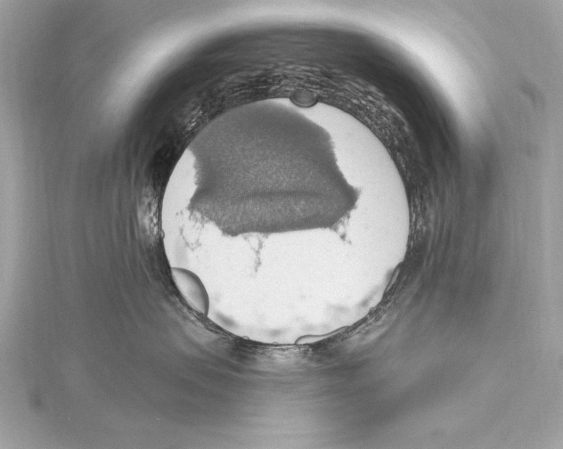 X0000115420479200912011330