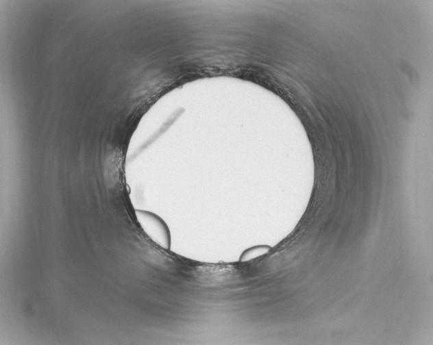 X0000115420480200912011330