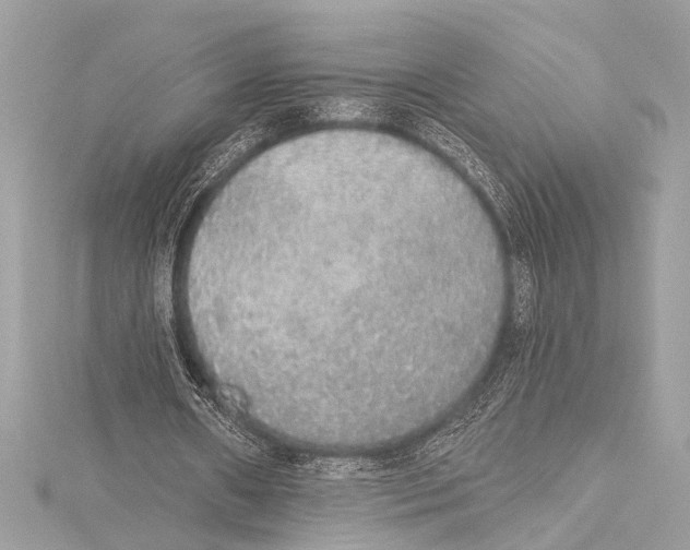 X0000115420482200912011329