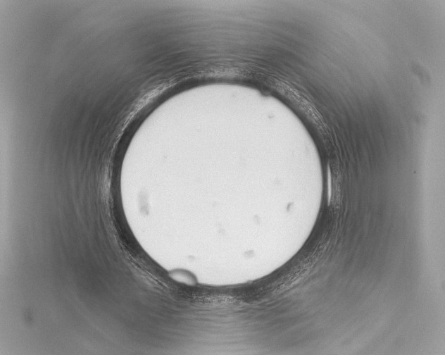 X0000115420483200912011329