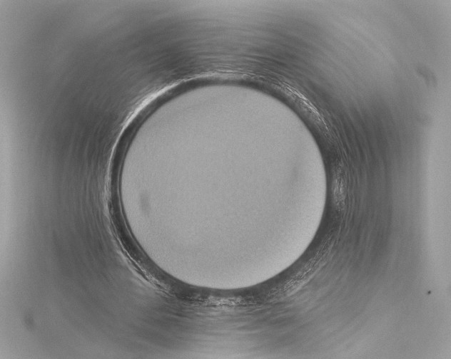 X0000115420484200912011329