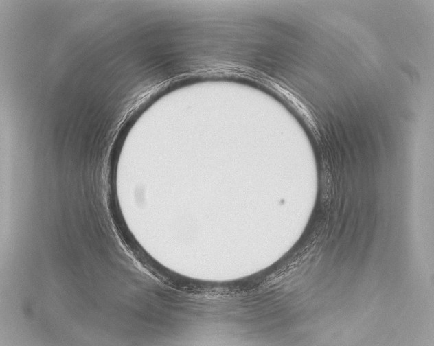 X0000115420485200912011329