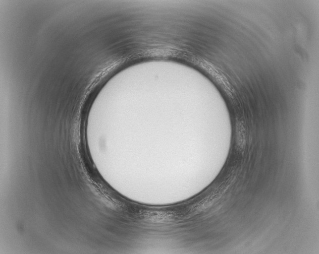 X0000115420486200912011329