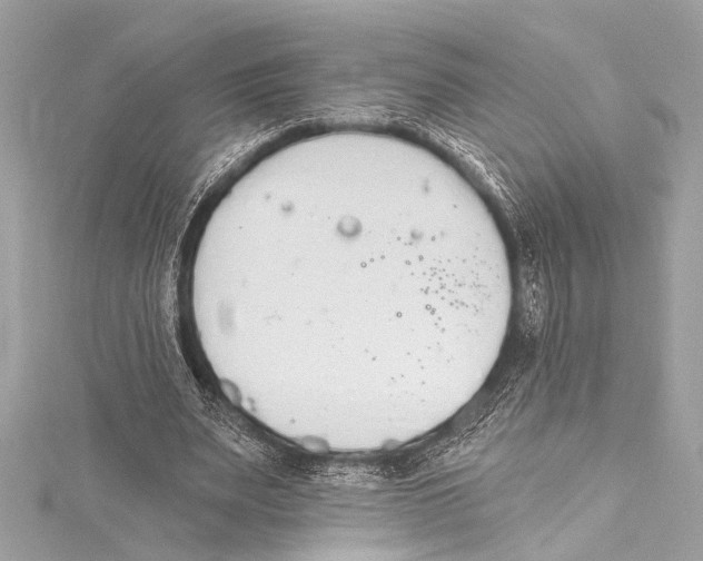 X0000115420487200912011329