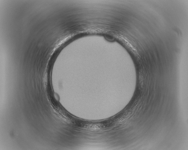 X0000115420488200912011329