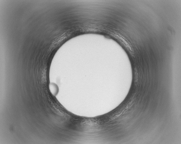 X0000115420489200912011329