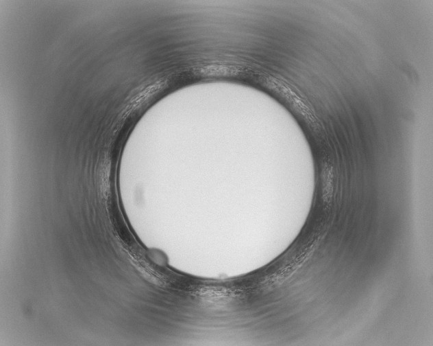 X0000115420490200912011329