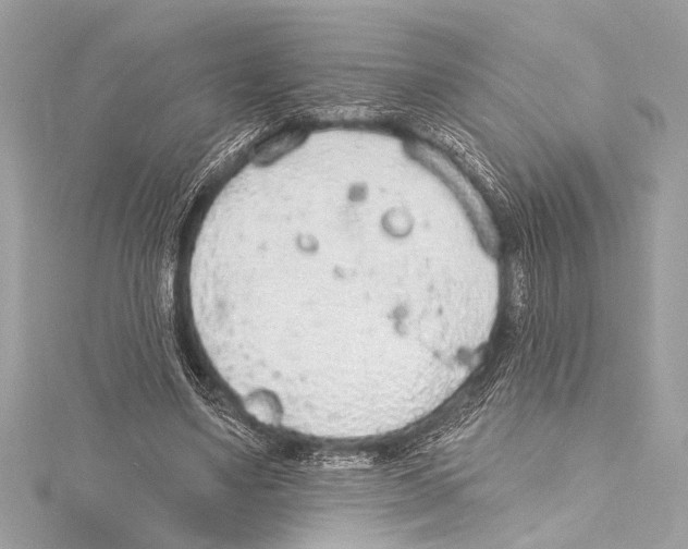 X0000115420491200912011329