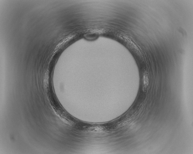 X0000115420492200912011329