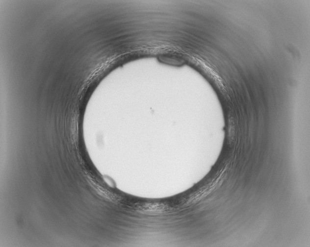 X0000115420493200912011329