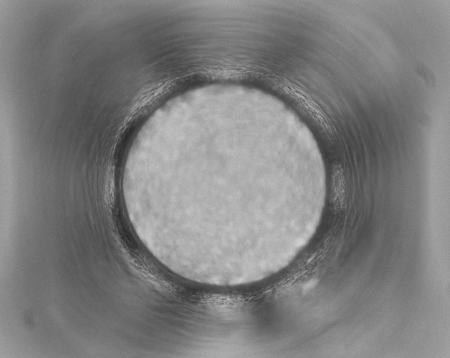 X0000115420494200912011329