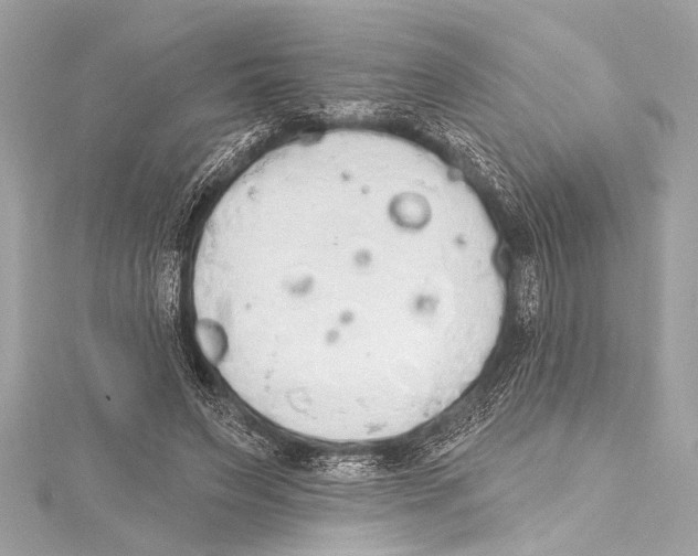 X0000115420495200912011329