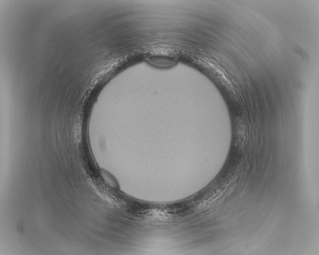 X0000115420496200912011329