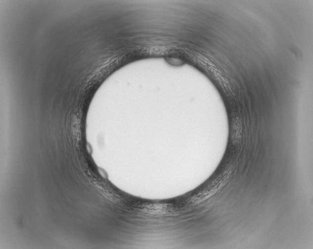 X0000115420497200912011329