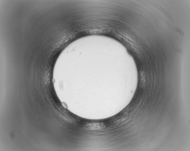 X0000115420499200912011329