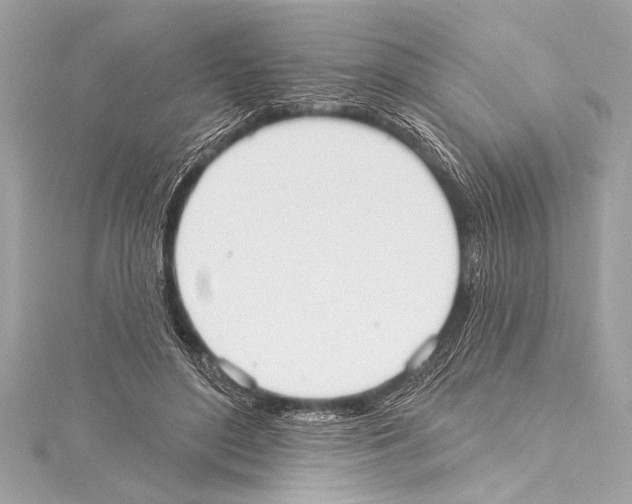 X0000115420500200912011329