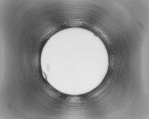 X0000115420501200912011329