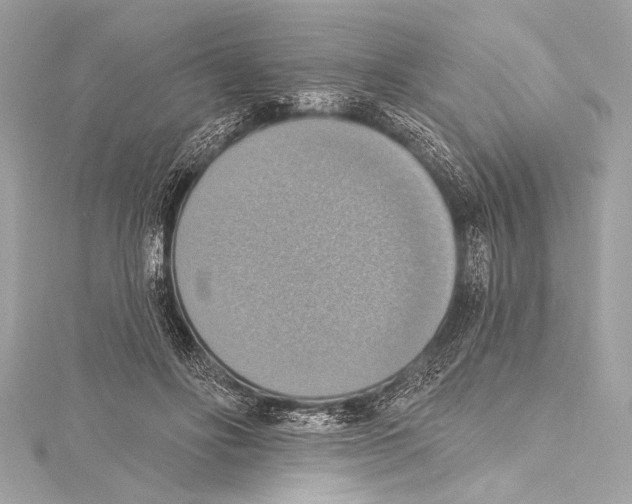 X0000115420502200912011329