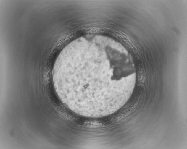 X0000115420503200912011329