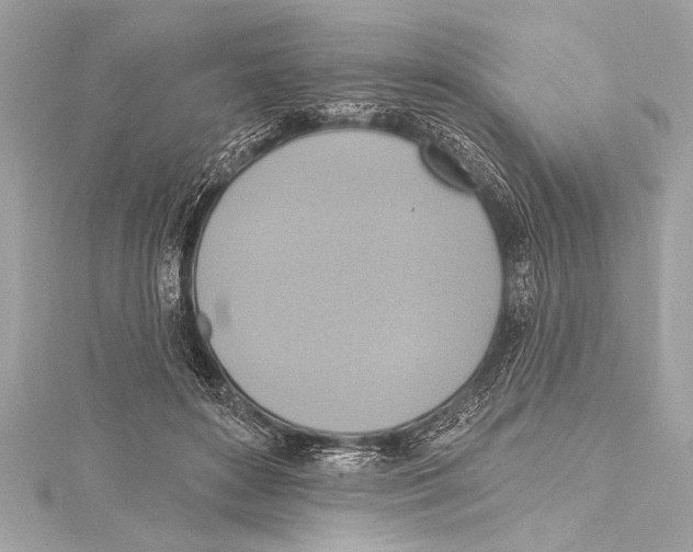 X0000115420504200912011329