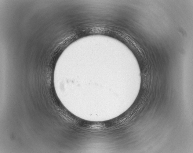 X0000115420505200912011329