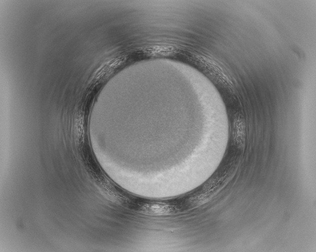 X0000115420506200912011329