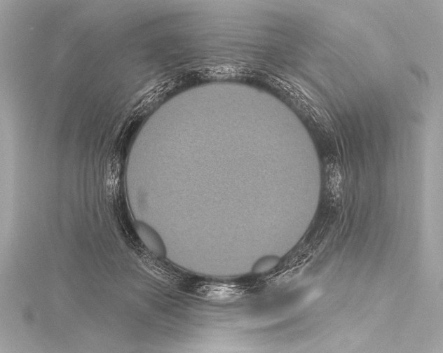 X0000115420507200912011329