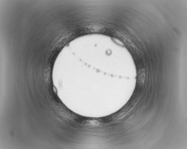 X0000115420509200912011329