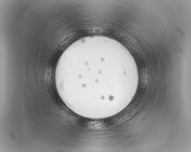 X0000115420511200912011329