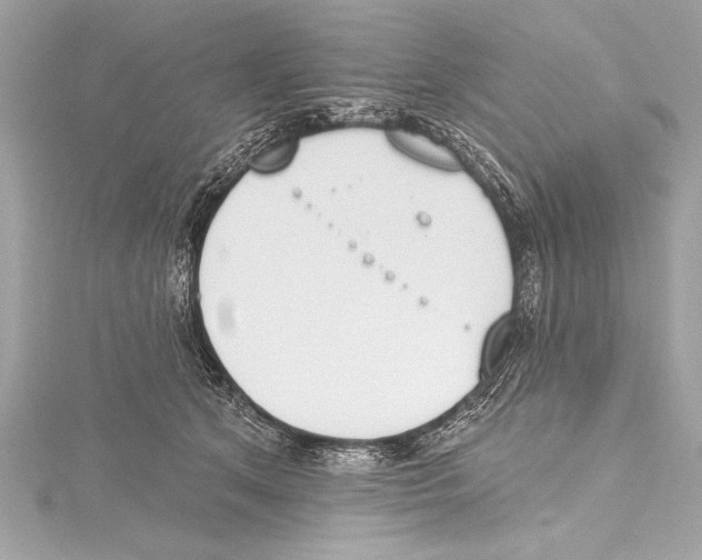 X0000115420513200912011329