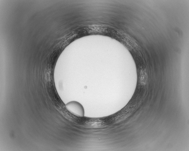 X0000115420514200912011329