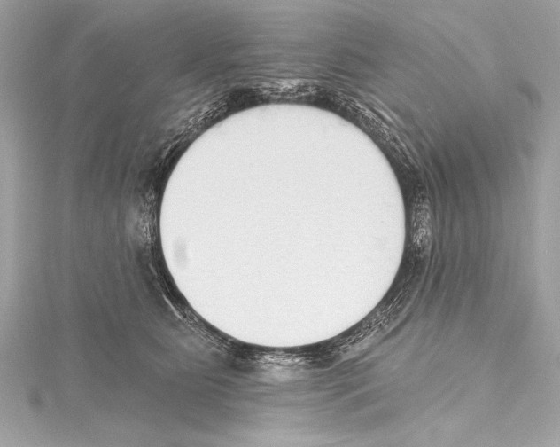 X0000115420515200912011329