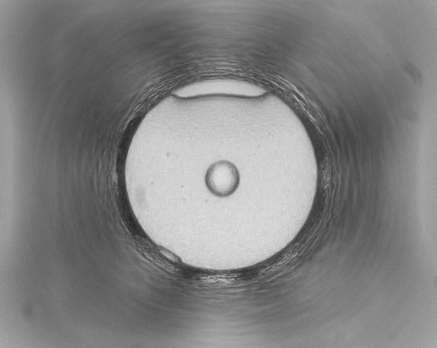 X0000115420516200912011329