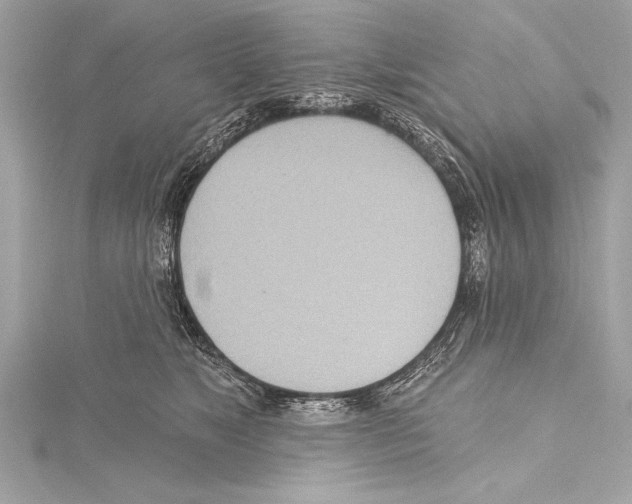 X0000115420517200912011329