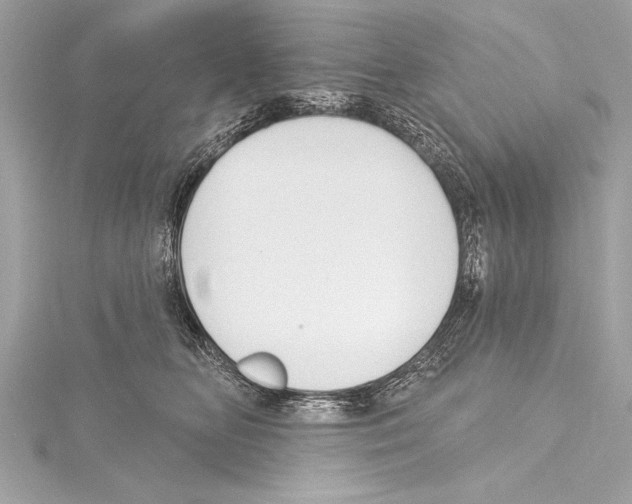 X0000115420518200912011329