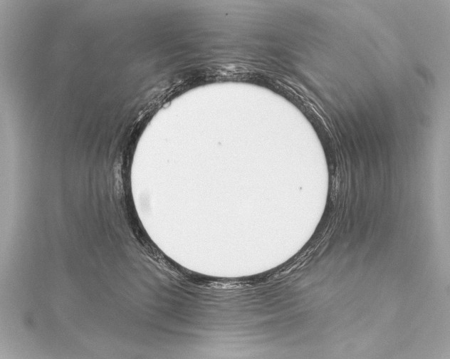 X0000115420520200912011329