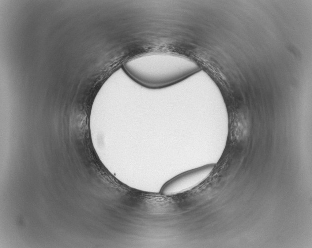 X0000115420521200912011329