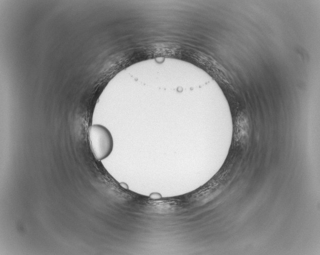 X0000115420522200912011329