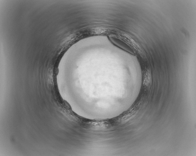 X0000115420524200912011329