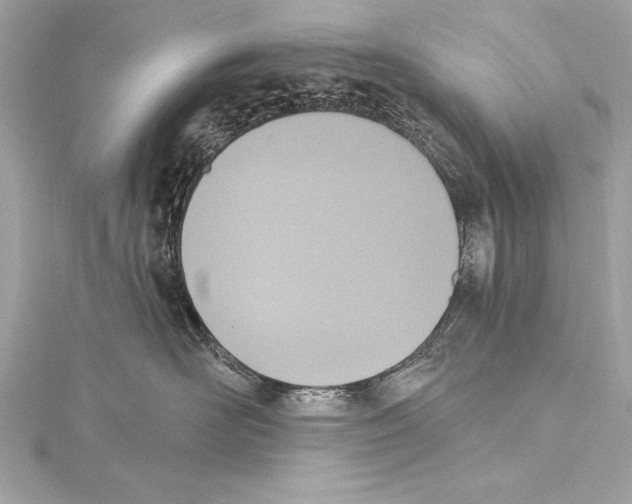 X0000115420526200912011329