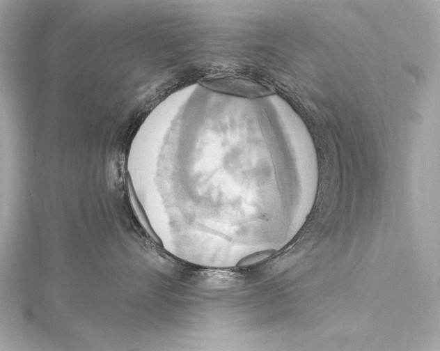 X0000115420528200912011329