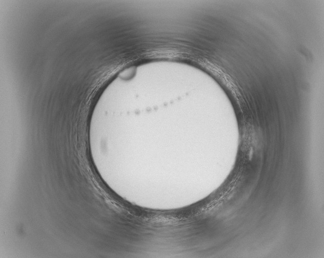 X0000115420529200912011328