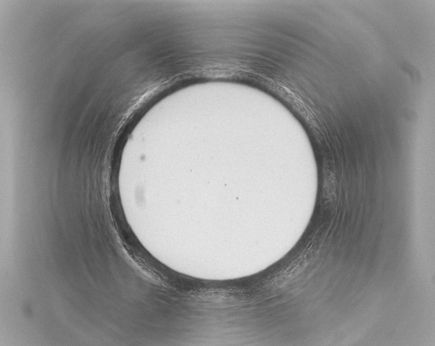 X0000115420530200912011328